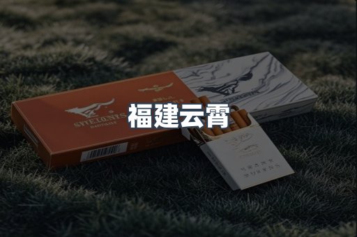 福建云霄